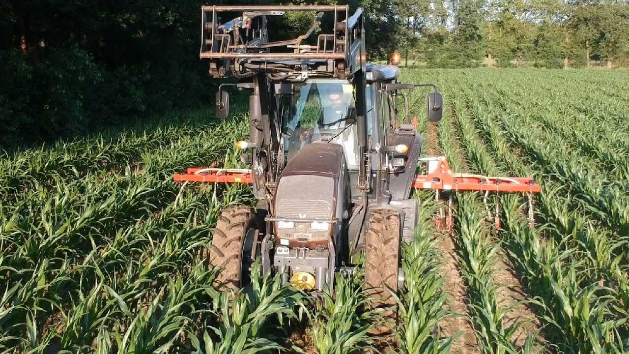 Undersowing with Valtra