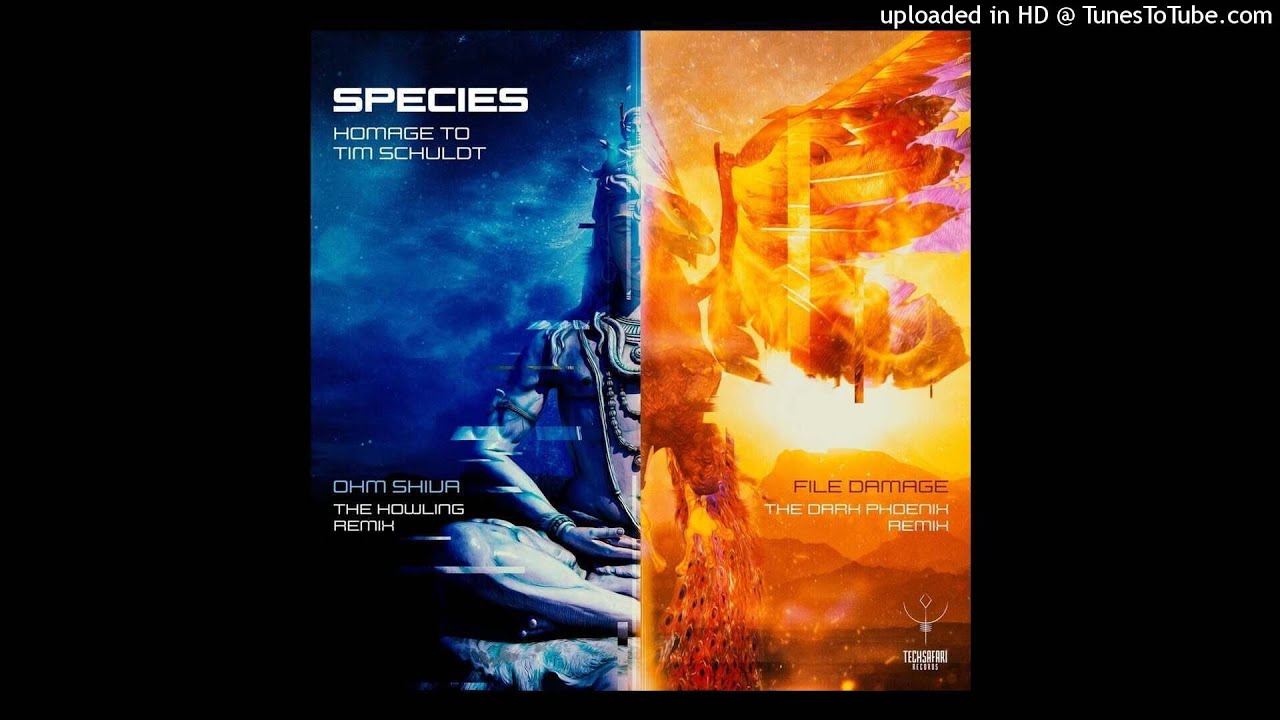 Tim Schuldt - File Damage (Species the Dark Phoenix Remix)