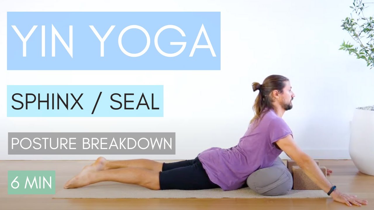 Sphinx (Seal) Pose - Yin Yoga Pose Breakdown with Dr. Truth Robinson and LIVING YIN