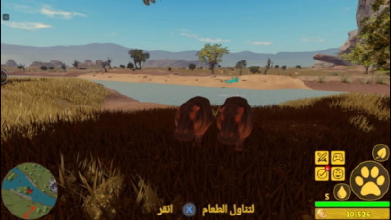 حياة الفرس معي اخوي سلطان