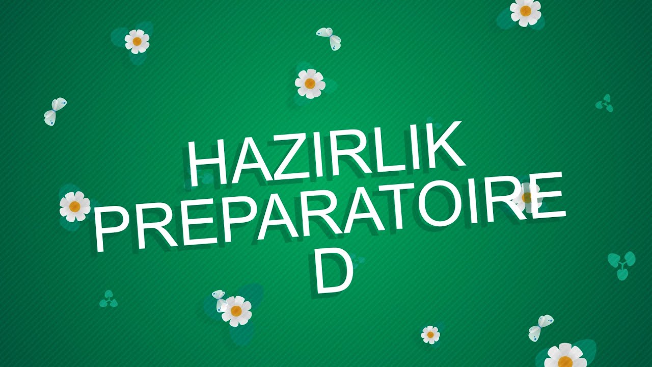 Preparatoire D - Hazırlık D
