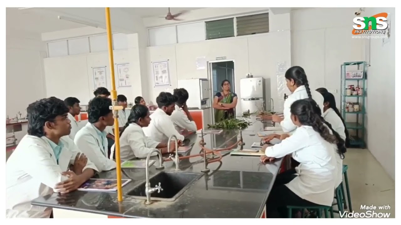 DT Based Delivery I Pharmacognosy - II I SNS Institutions