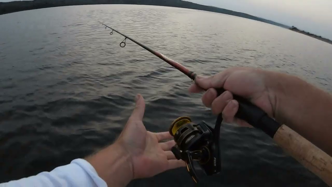 ❤ ADRENALINA MAXIMA ❤ Am iesit pe Dunare la clonc si am ajuns sa prind avati URIASI la spinning 🐟🎣