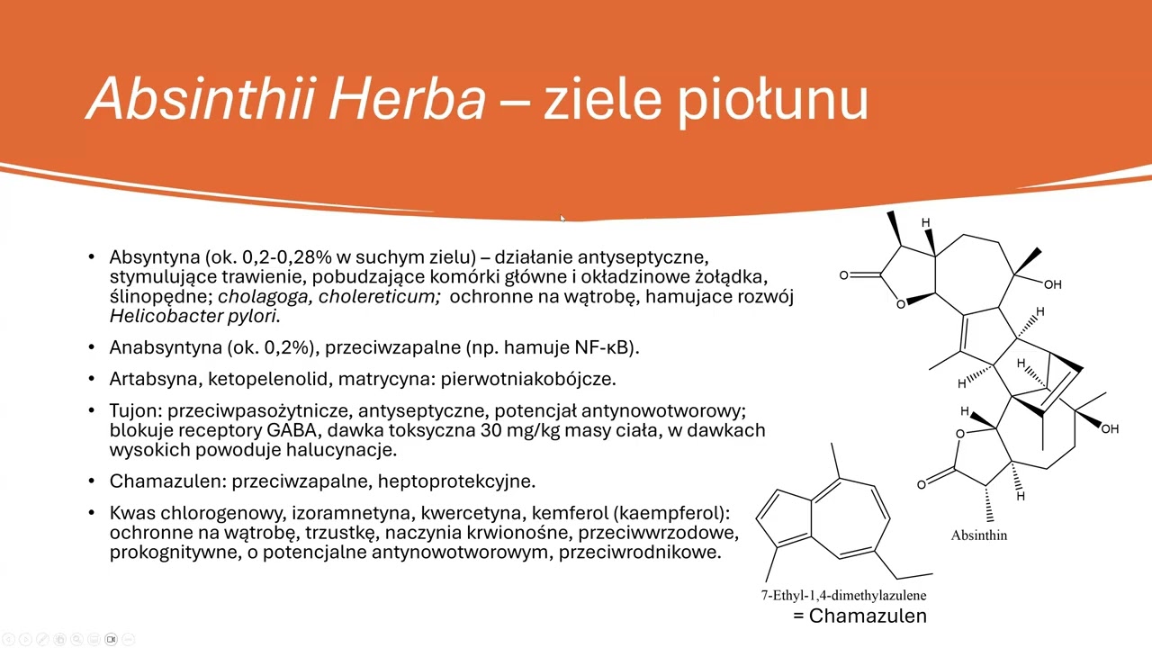 Artemisia absinthium L. - bylica piołun, zioła farmakopealne, cz. 2; Henryk Różański