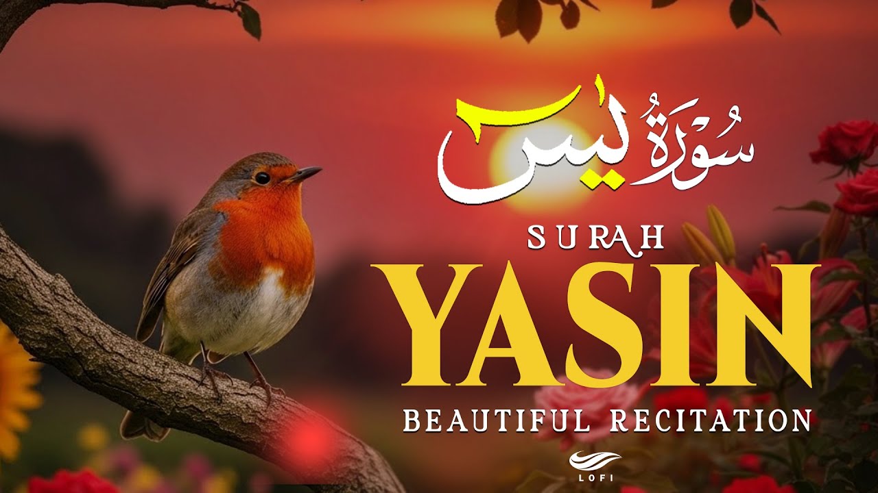 Surah Yasin (Yaseen) سورة يس ✪ Beautiful Quran Recitation ✪