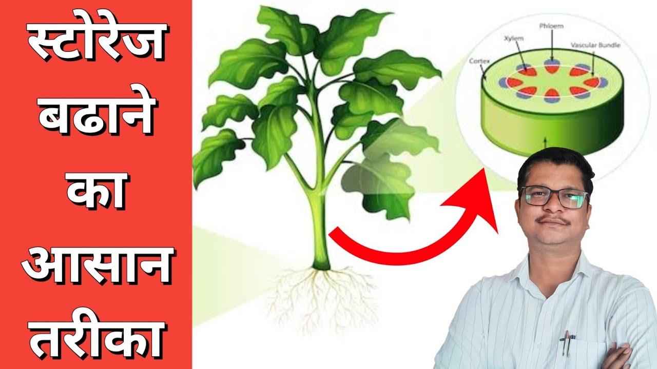 स्टोरेज बढाने का आसान तरिका । plant growth