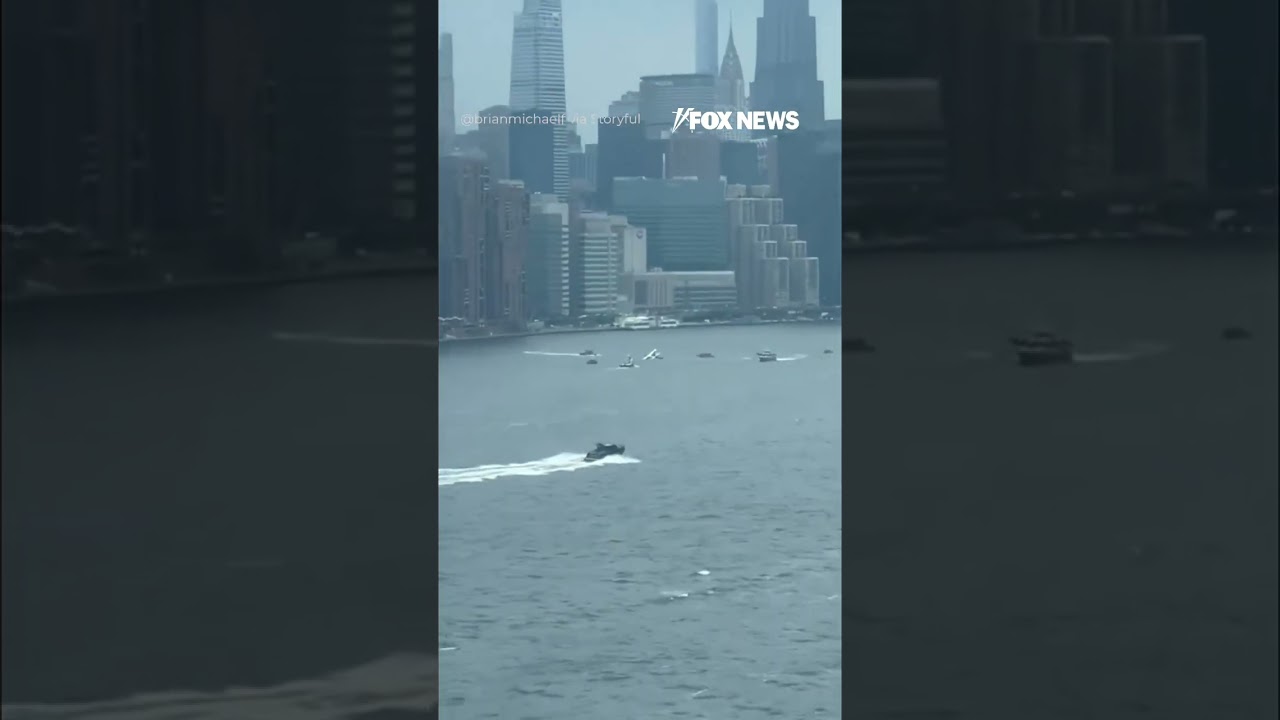 DRAMATIC RESCUE in New York City's East River after a small plane went down #shorts #foxnews #news