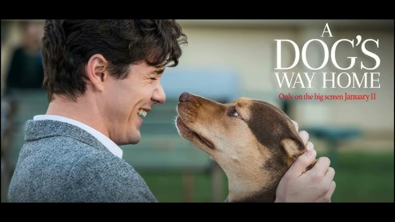 Top 10 Must-Watch Netflix Movies for Kids | Fun, Adventure, and Inspiration!