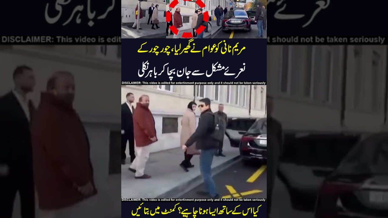 maryam nawaz vs pti tiger !! 😂🤣 OMG #maryamnawaz #pmln #london