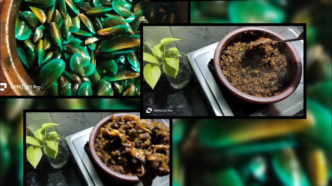 DV14 easy clam recipe |കല്ലുമ്മക recipe #shortsforgoals #food #clam #recipe #trend 
