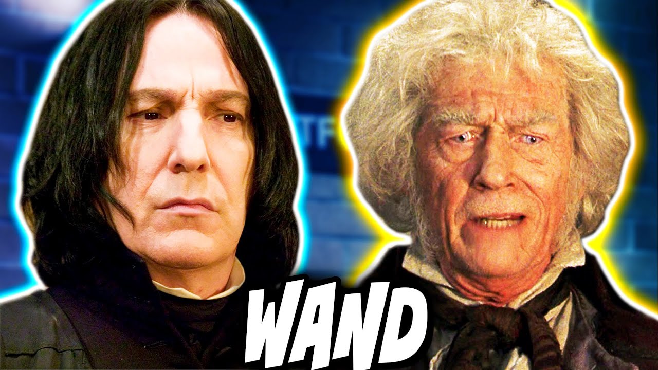 20 Harry Potter Character Wands (+ Their Meanings) - Harry Potter Explained