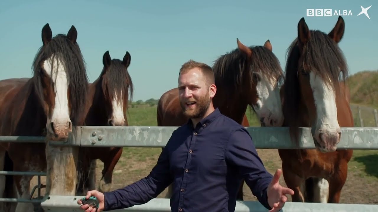 SpeakGaelic | Gaelic In Scotland With Calum Maclean | Clydesdale Horses