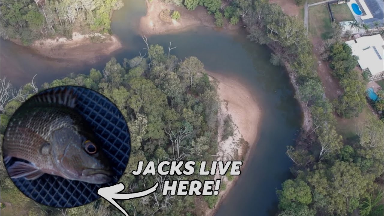 exploring URBAN creek for MANGROVE JACKS | kayak fishing South East Queensland