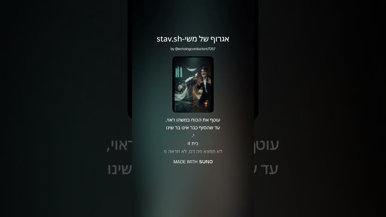 אגרוף של משי stav sh