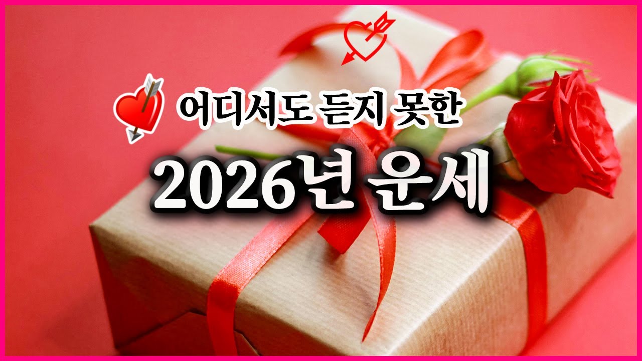 2026년 병오년 신년운세 총정리｜희망고문 없는 현실 해석