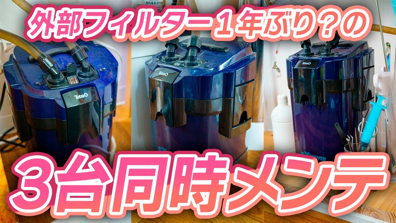 ３台同時に外部フィルターメンテナンス 最高すぎる外部フィルターテトラVX-60 VX-75 #アクアリウム 【ビバアクア】