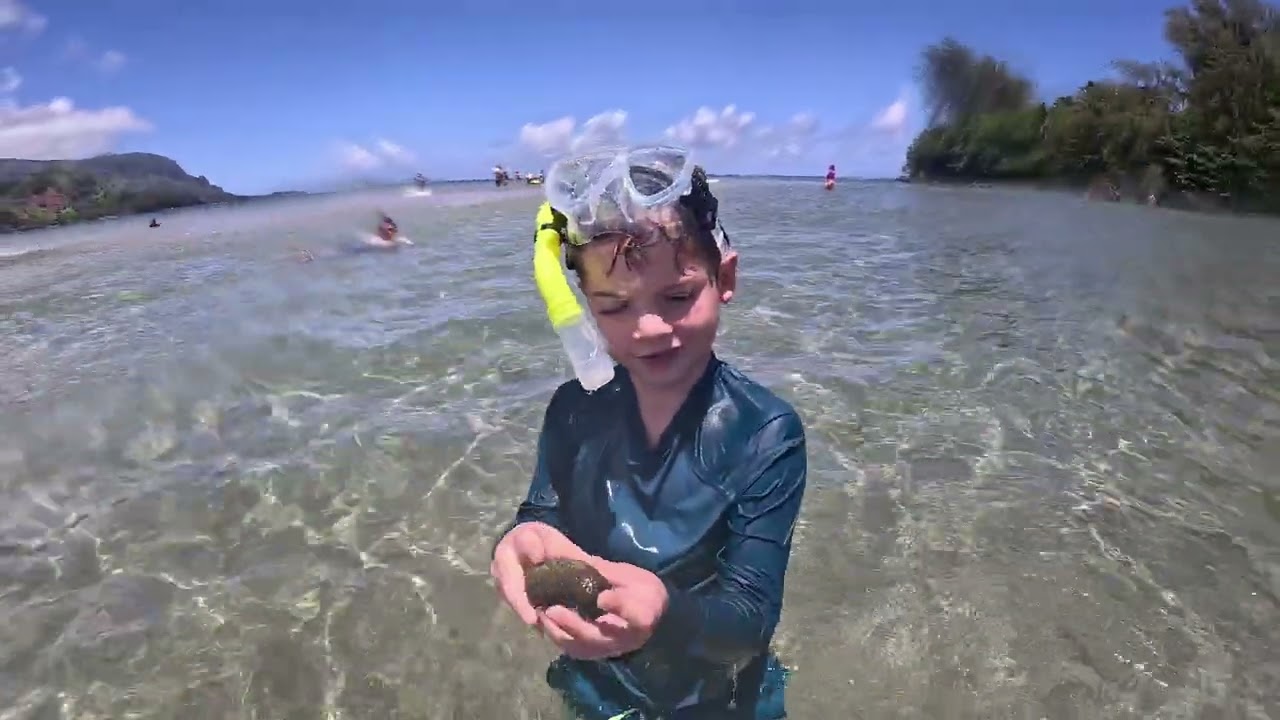 Black Pot Beach - Hawaii 2023