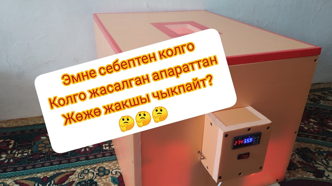 Инкубаторго ЖУМУРТКА 🥚 бастырганда кетирилген КАТАЛАР 😳