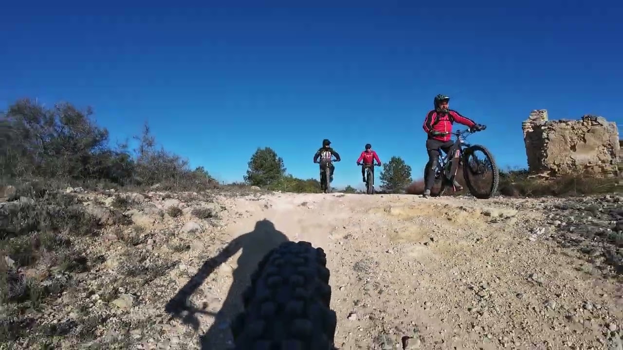 creuer 21 02 2026