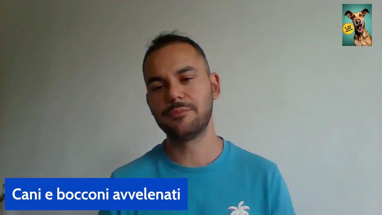 Cani e bocconi avvelenati