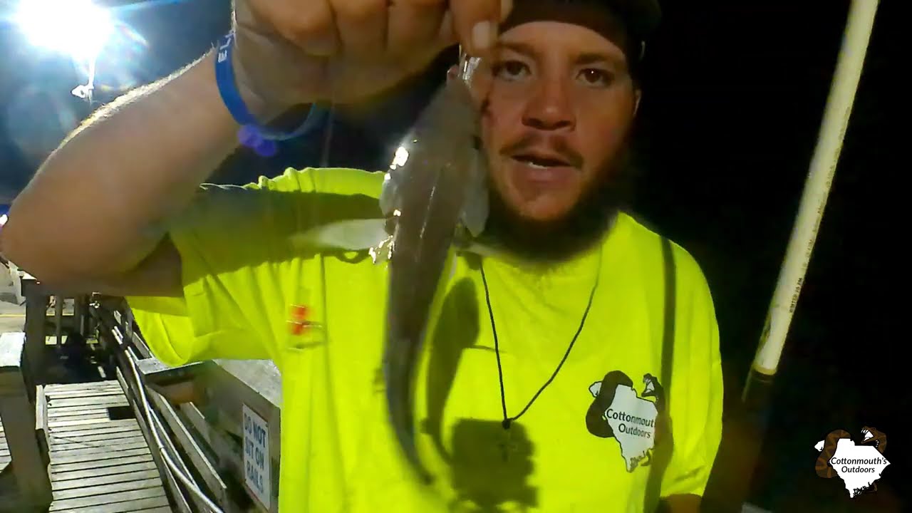 Catfishermen go Saltwater Fishing!