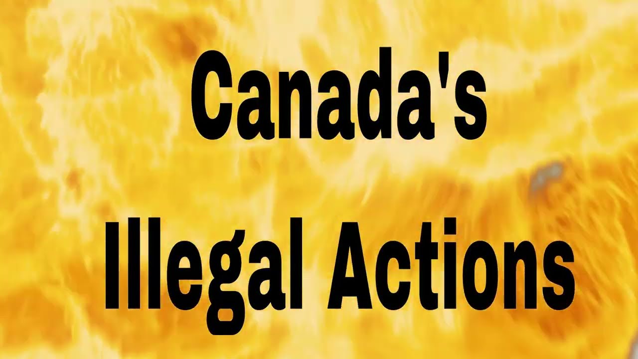 The Hidden Truth About ICCPR Article 1 &ndash; What They Don&rsquo;t Want You to Know