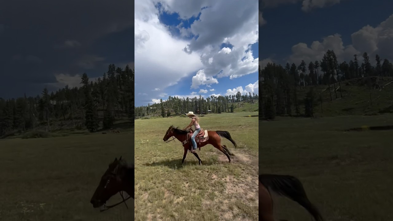 going on a four hour trail ride to the swimming hole! #horseriding #trailride #gallop # cowgirls
