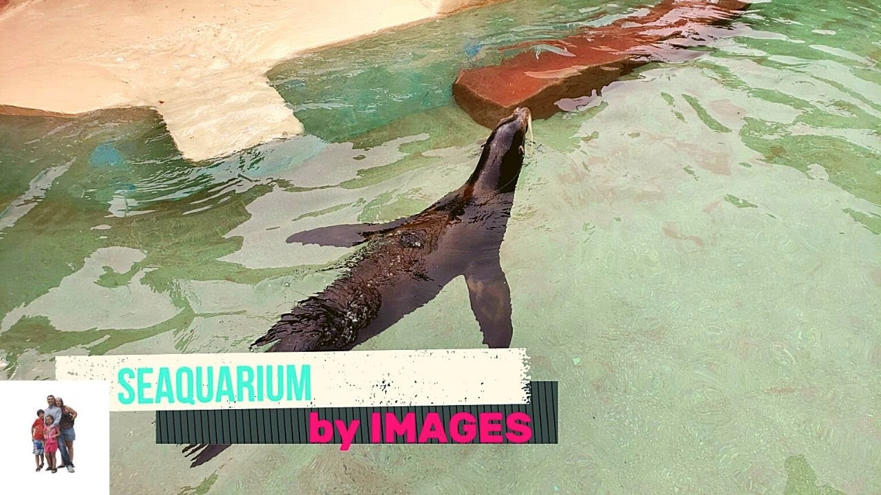 MIAMI SEAQUARIUM, FLORIDA Part 1