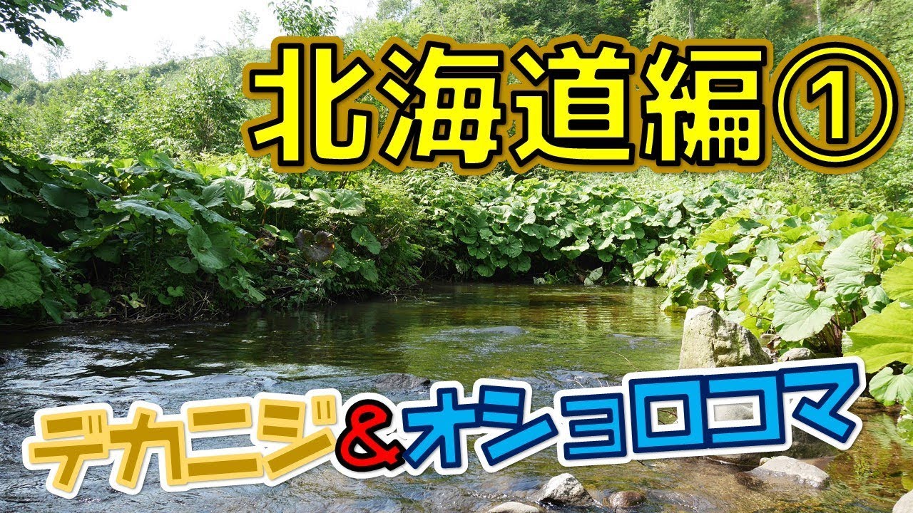 北の渓から&times;ぬし釣りコラボ！デカニジとオショロコマを狙う！【北海道渓流釣り①】~Bait＆Lure Fishing~
