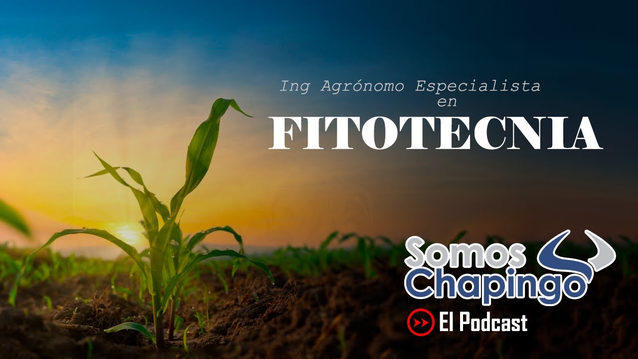 EPS. 18 INGENIERO AGRÓNOMO ESPECIALISTA EN FITOTECNIA- UNIVERSIDAD AUTÓNOMA CHAPINGO.