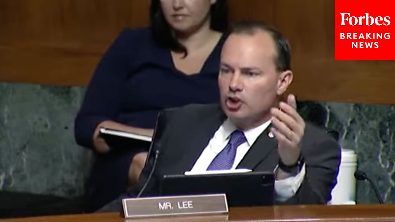 'Are Pharmacies Racist? The Airline Industry -- Is That Racist?': Mike Lee Mocks Voter ID Opposition