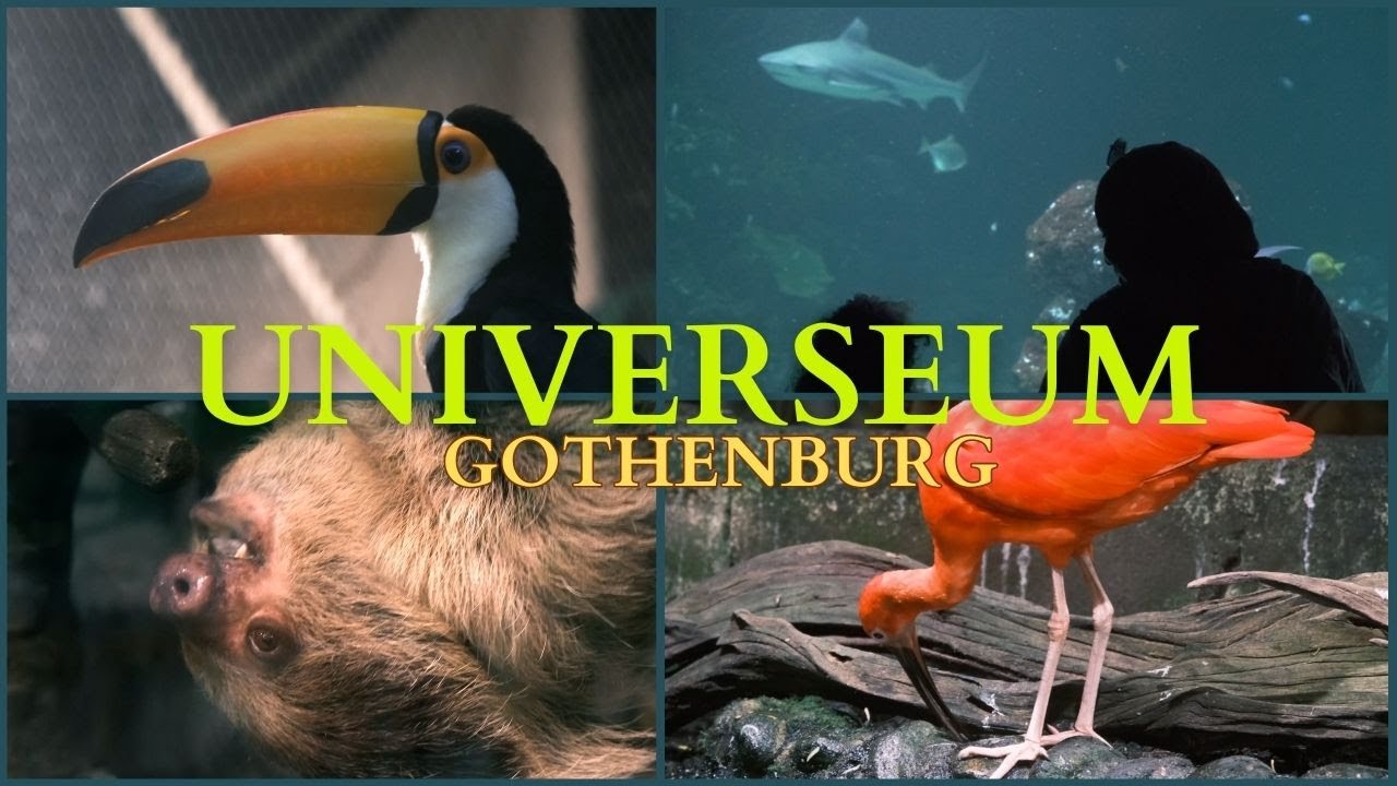 Universeum - Absolute MUST when visiting Gothenburg
