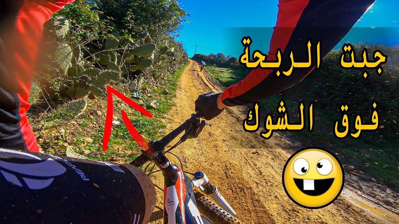 😭جبت الربحة ههههه طيحت على الشوك ديال الصبار