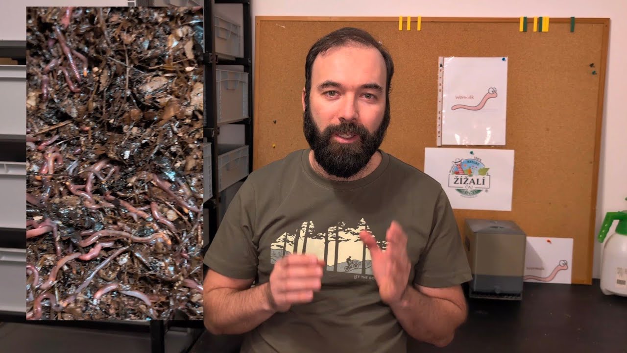 |WORMÁK| PŘEDKOMPOSTOVÁNÍ - Tenhle žížalí hack musíš znát i ty! Znám tajemství spokojených žížal.