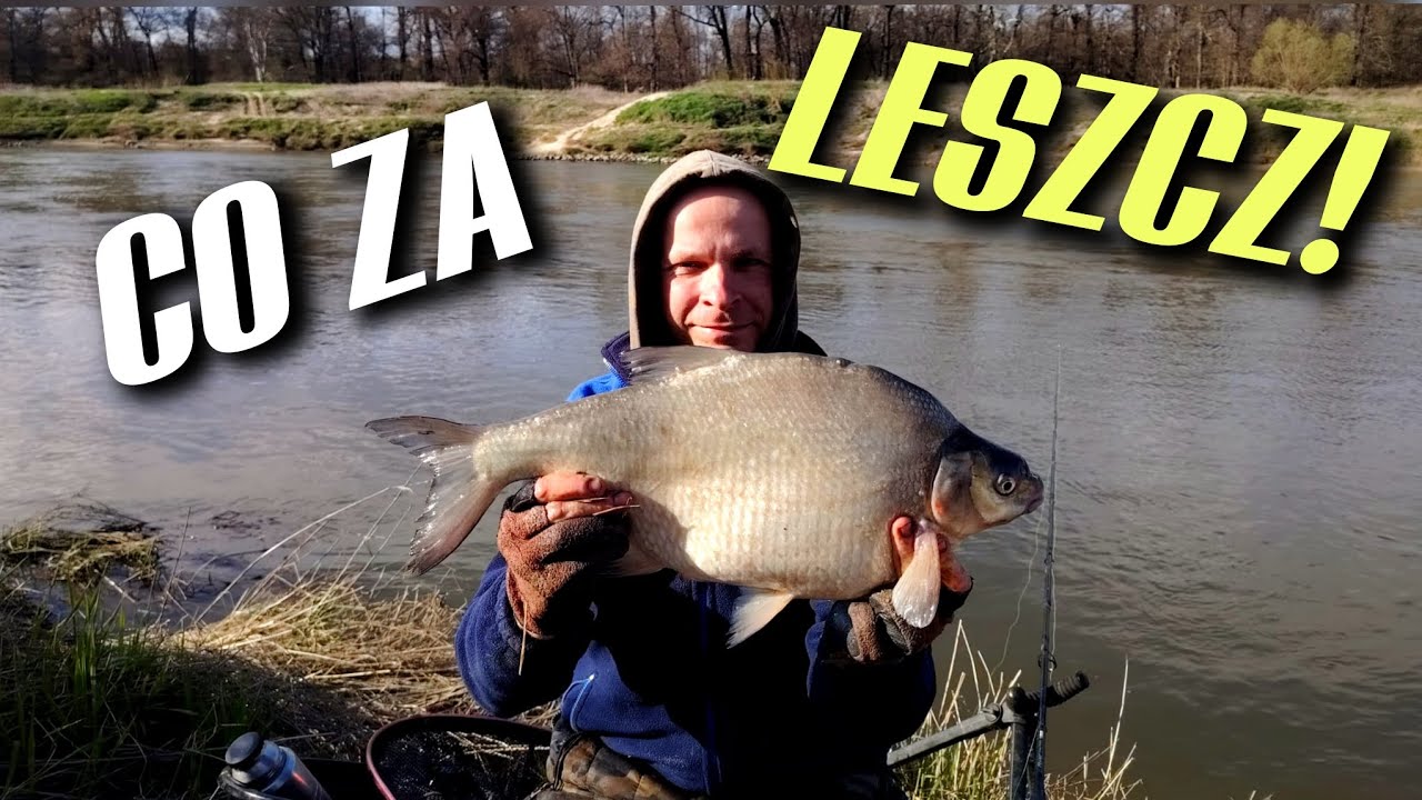 576 WIOSENNA ODRA - CERTY, NABITY LESZCZ i WYRÓWNANY REKORD!