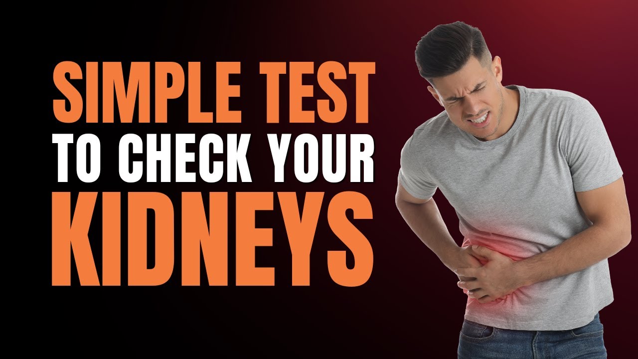 Urine Albumin Test Demystified | Navigating Dipstick Test And Measuring Albumin Level