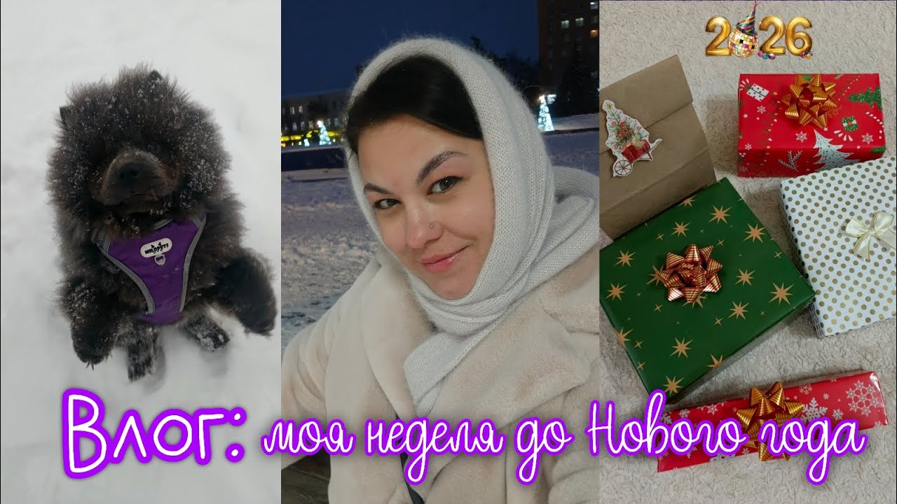 Моя неделя перед Новым годом 🎄 завела щенка, упаковка и обзор подарков, корпоратив | VLOGMAS