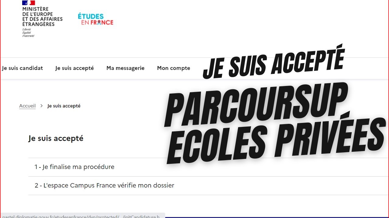 Je suis accepté parcoursup et écoles privées/comment bien remplir sur campus France