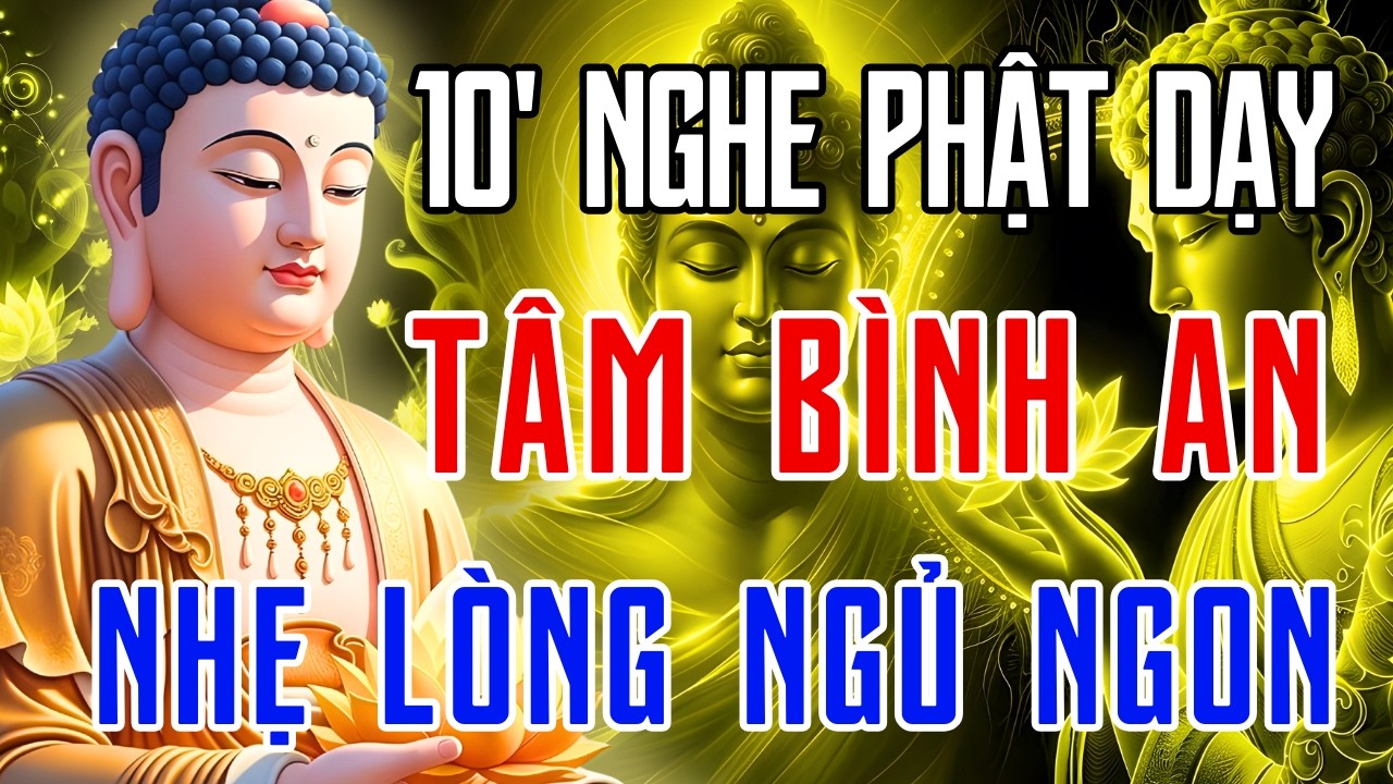 Lời Phật Dạy: Đừng Hơn Thua – Cứ Im Lặng, Trời Có Mắt! Buông Bỏ Để Tâm An