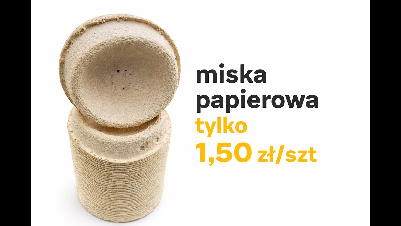 MISKA PAPIEROWA DLA GOŁĘBI 🔥 100 SZT | 150 ZŁ | PŁATNE KURIEROWI