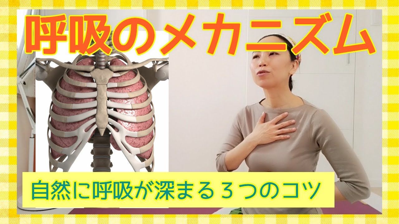 呼吸のメカニズム〜日常の呼吸が自然に深まる３つのコツ〜