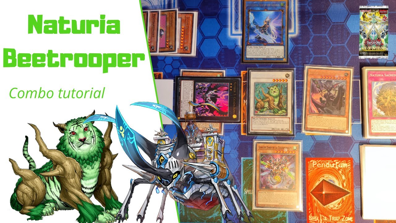 Yu-Gi-Oh! Naturia Beetrooper COMBO TUTORIAL! In-depth! (November 2023 format) Infinite spell negates