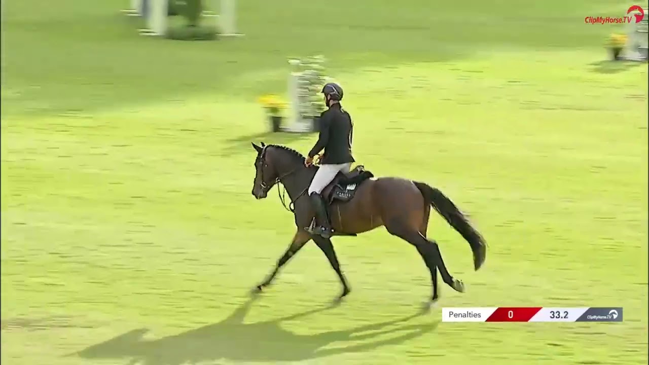 Comme Cavelle *2020 by Comme Prévu wins the PSA Final under Richard Vogel in Donaueschingen