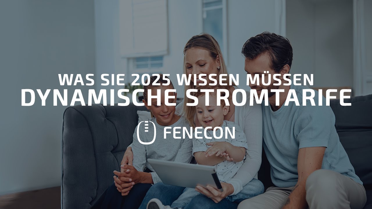 Dynamische Stromtarife - was Sie 2025 wissen m&uuml;ssen  | FENECON