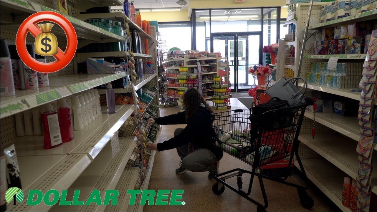 16 YR. OLD GOES NO BUDGET HYGIENE SHOPPING @DOLLAR TREE!