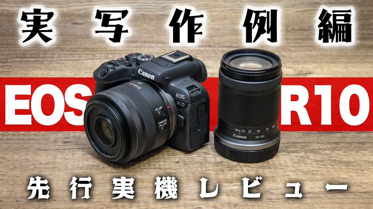 【写真の撮り方】Canon EOS R10 先行レビュー動画 PART2 がっつり撮影！たっぷり作例！高倍率ズームと大口径標準レンズの二本でここまで撮れる