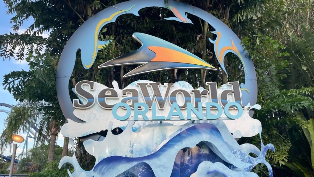 Mad Madison Seaworld Orlando Thanksgiving 2024 Orca Rollercoaster