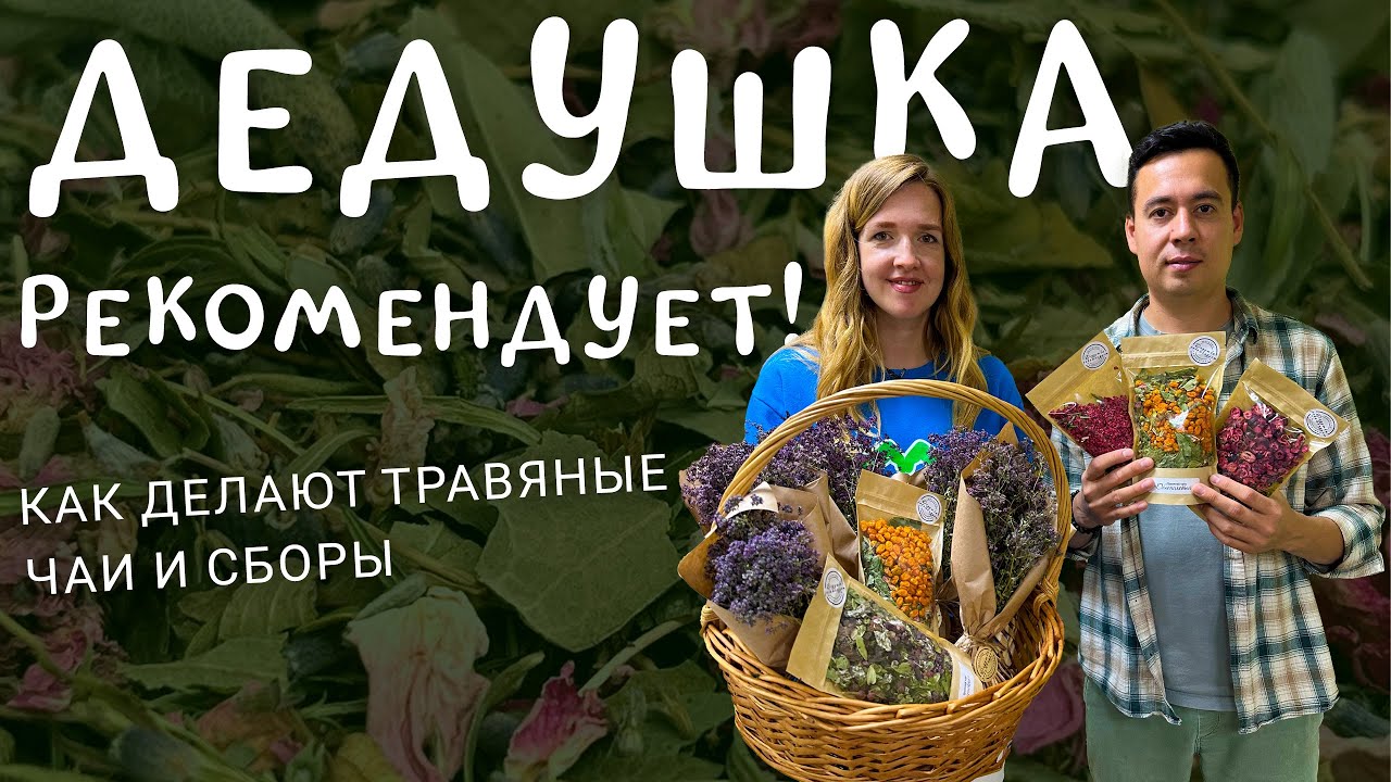 Дедушка рекомендует! Экскурсия в чайный домик | Как делают травяные чаи и сборы?