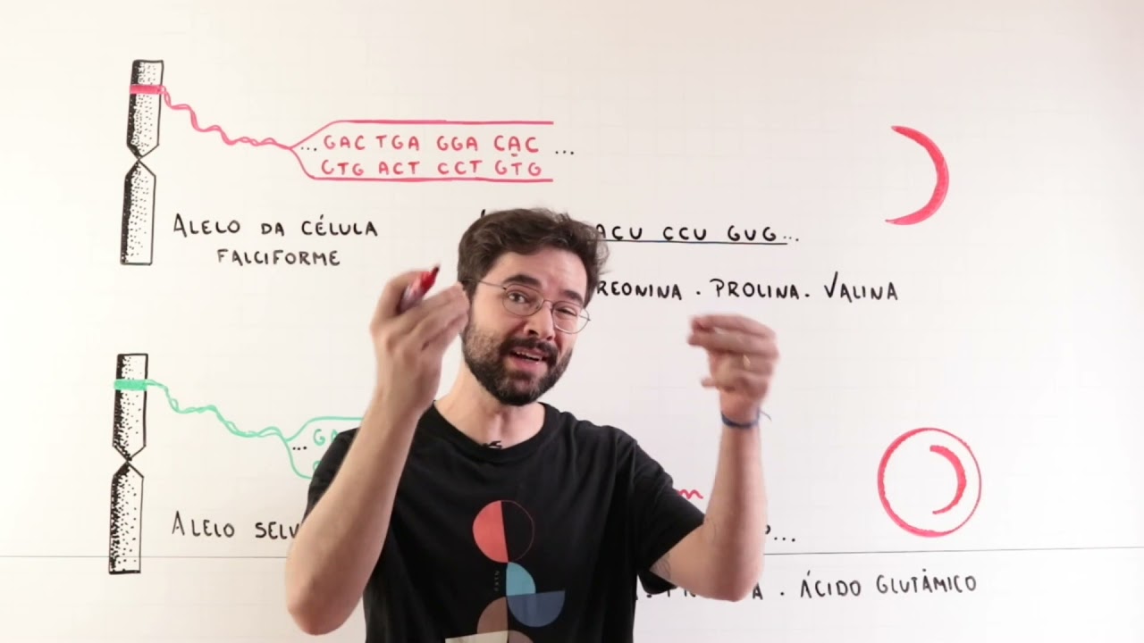CRISPR cas9  e a edição genética da vida explicada