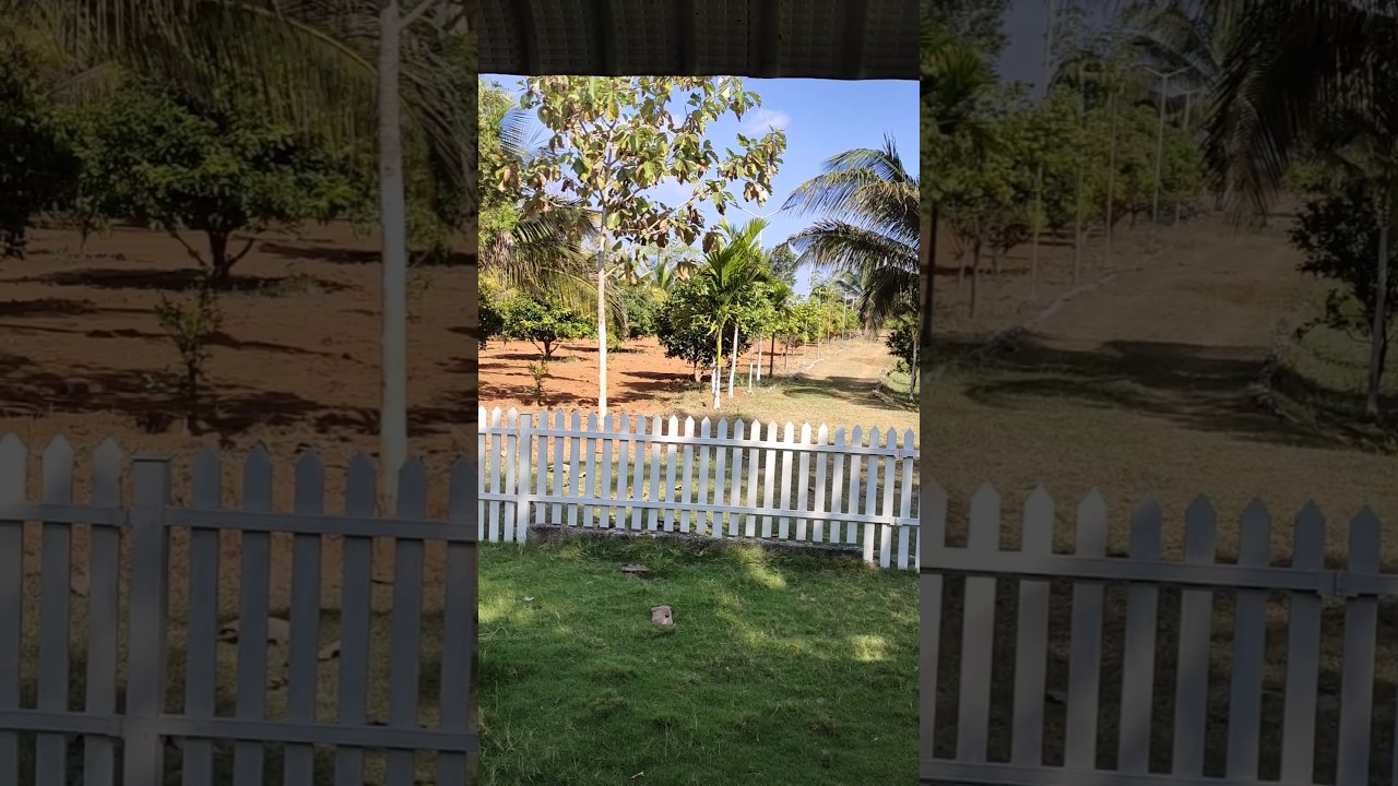 Nanjangud's MOST DESIRABLE 4 Acre Farm FOR SALE NOW!